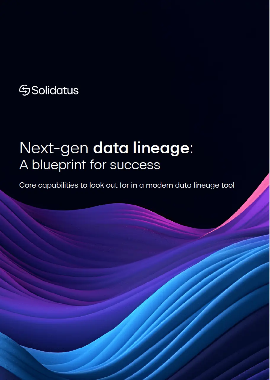 Data lineage blueprint solidatus 1 1 1